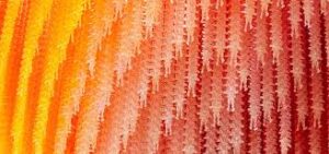 People Before Strategy A New Role for the CHRO