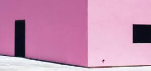 The Secrets of Great CEO Selection